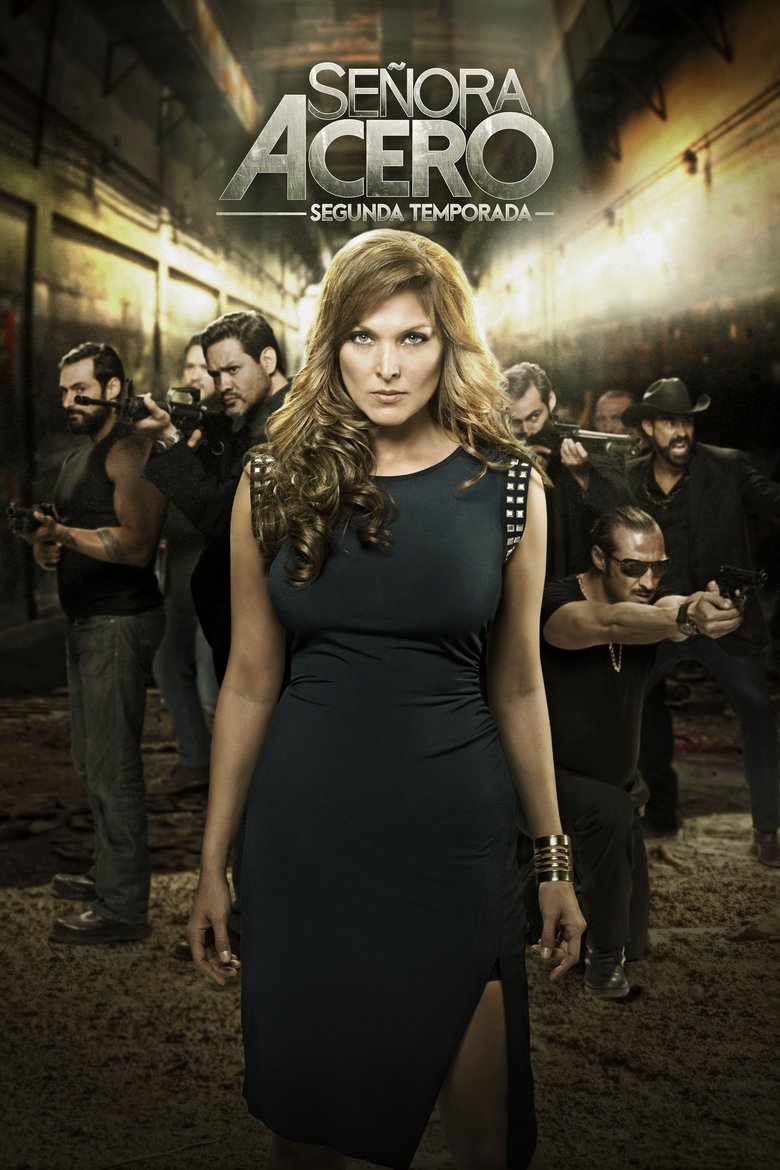 Lady of Steel (2014) — affiche série