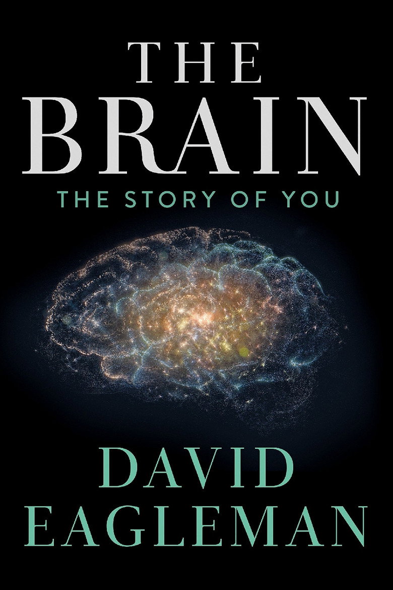The Brain with Dr. David Eagleman (2015) — affiche série et bande-annonce