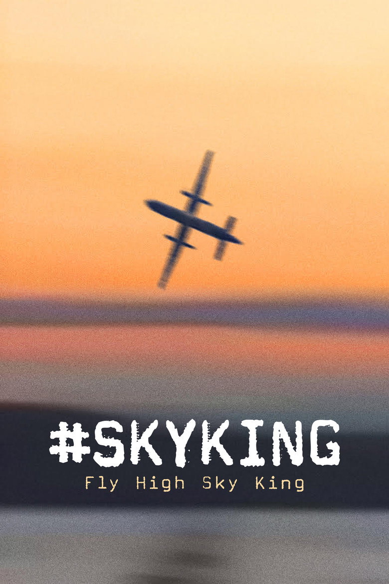 #Skyking (2026) — affiche film et bande-annonce