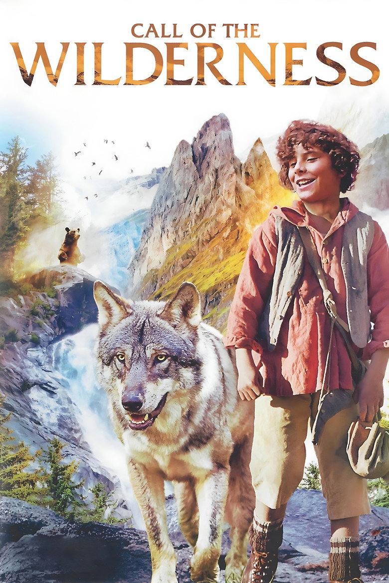 Little Mountain Boy (2015) — affiche film