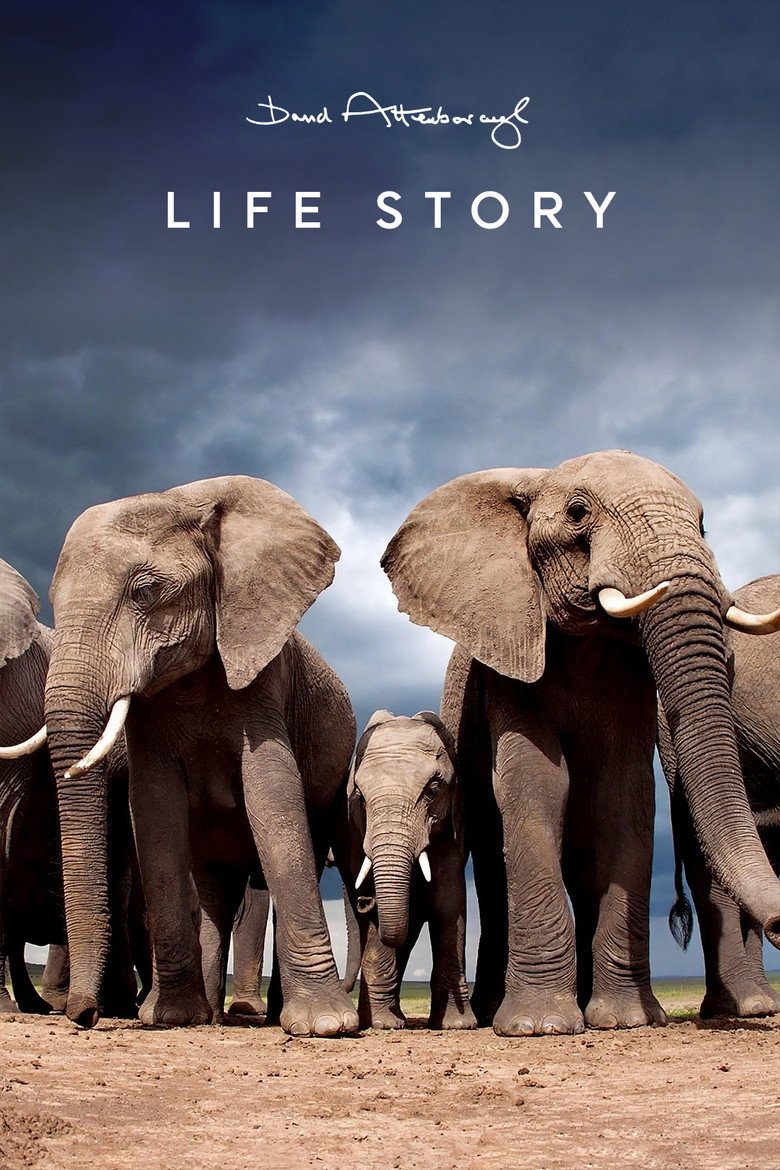 Life Story (2014) — affiche série et bande-annonce