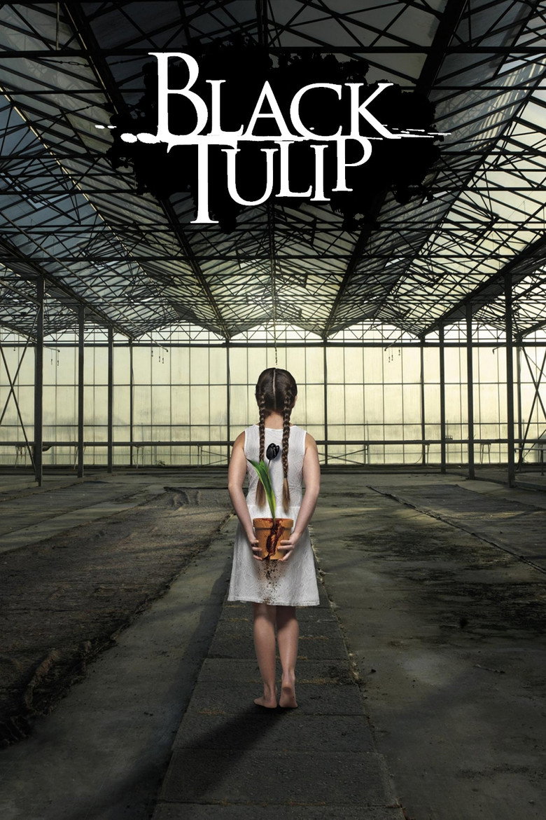 Black Tulip (2015) — affiche série