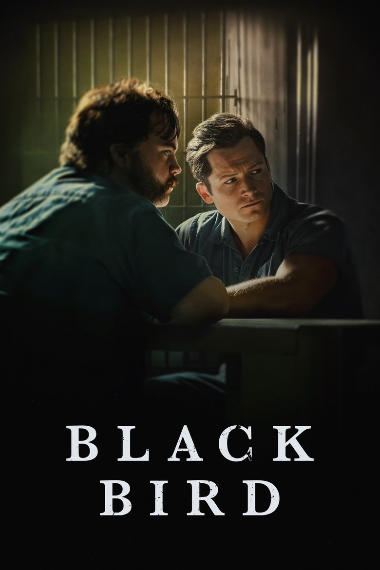 Black Bird (2022) — affiche série et bande-annonce