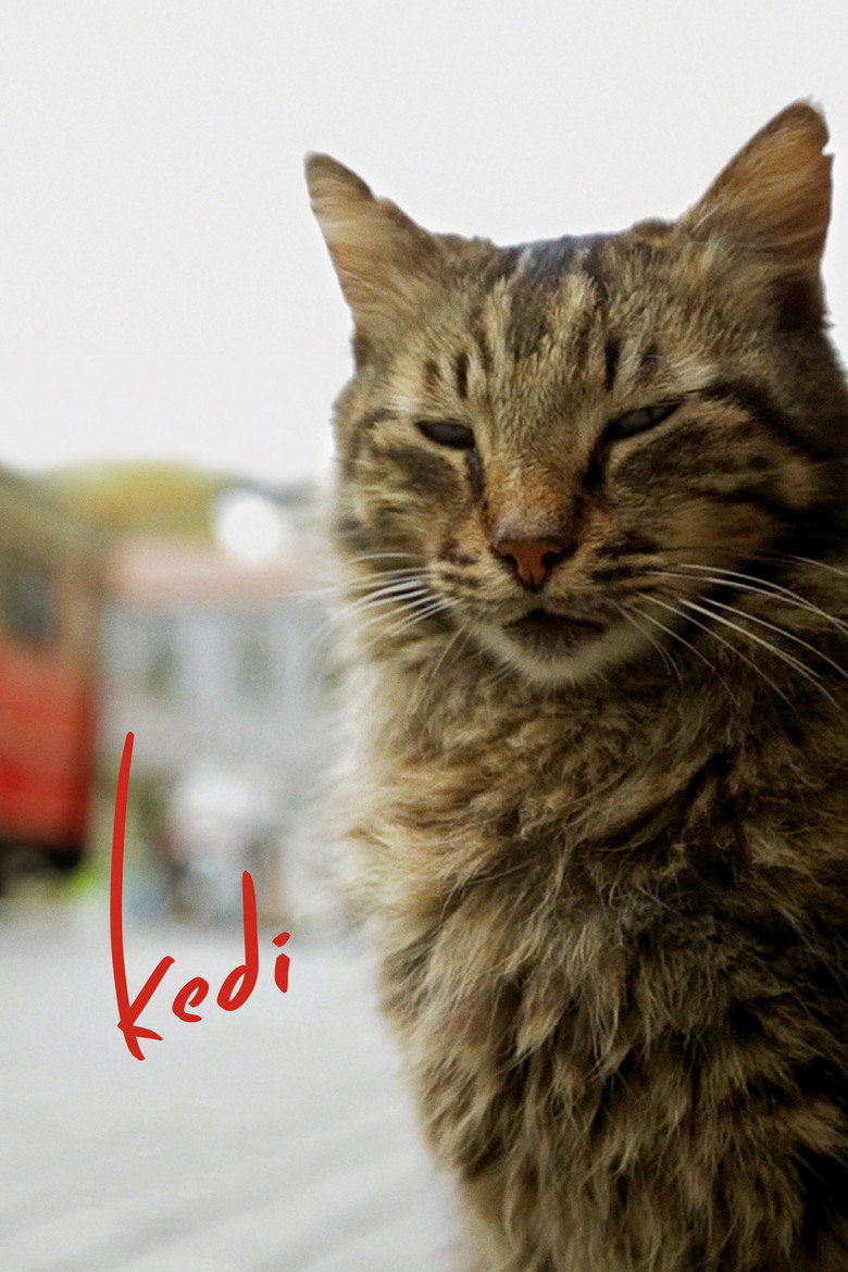 Kedi (2016) — affiche film et bande-annonce