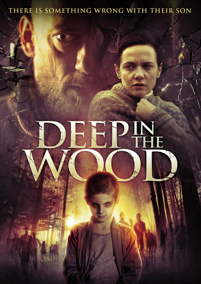 In fondo al bosco (2015) — affiche film