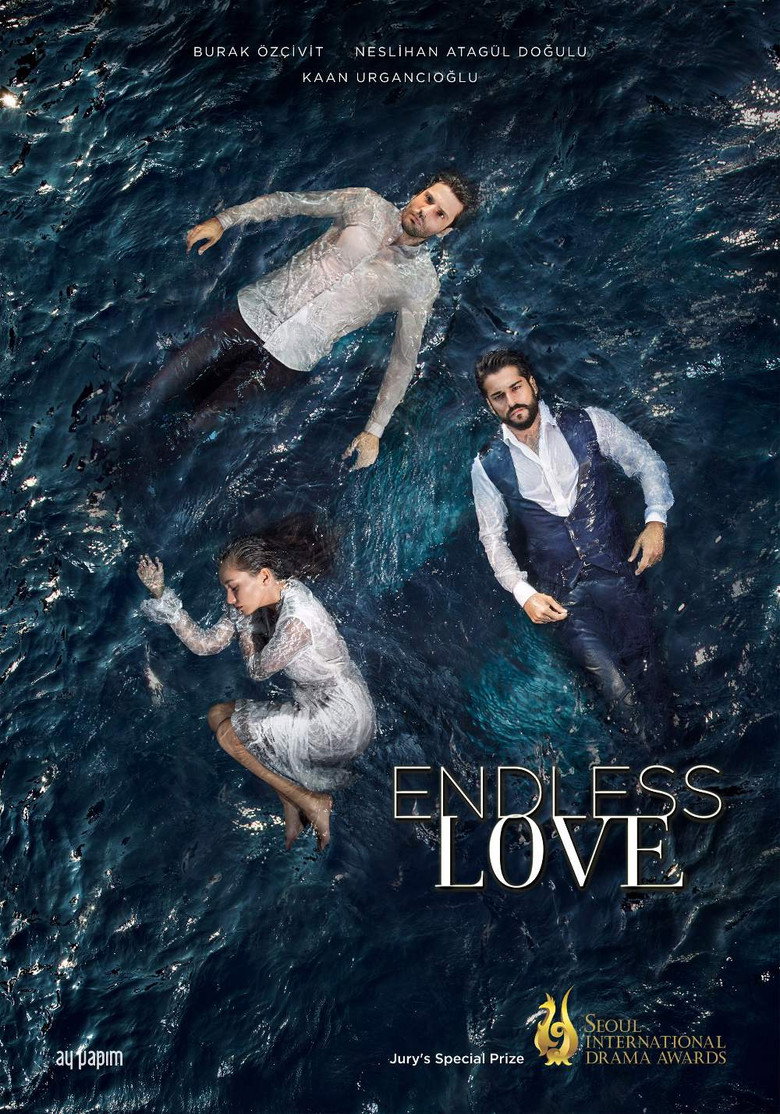 Endless Love (2015) — affiche série