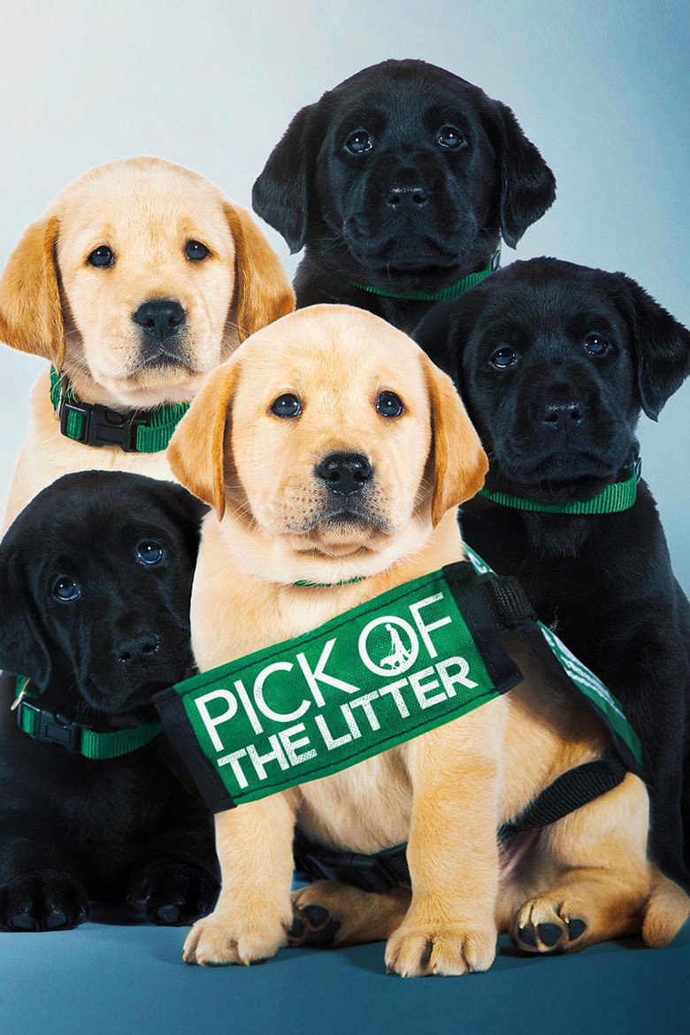 Pick of the Litter (2018) — affiche film et bande-annonce