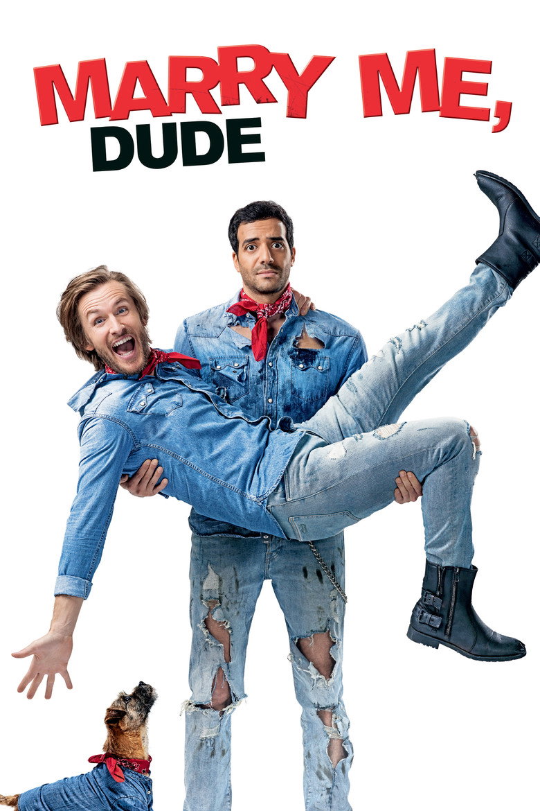 Épouse-moi mon pote (2017) — affiche film