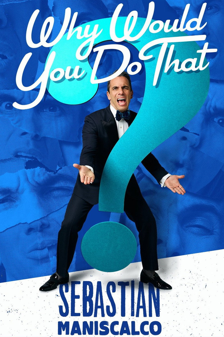 Sebastian Maniscalco: Why Would You Do That? (2016) — affiche film