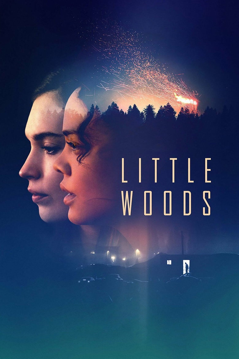 Little Woods (2018) — affiche film et bande-annonce