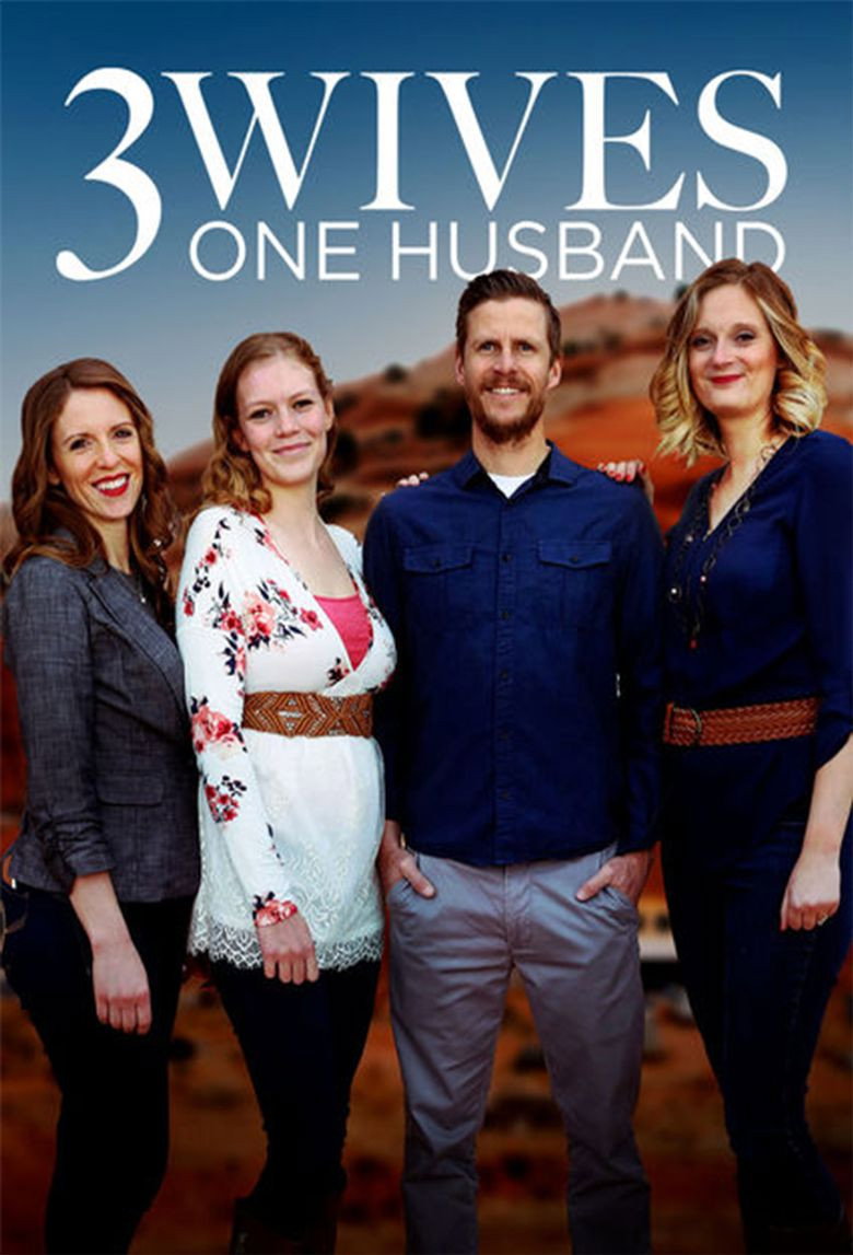 Three Wives, One Husband (2014) — affiche série