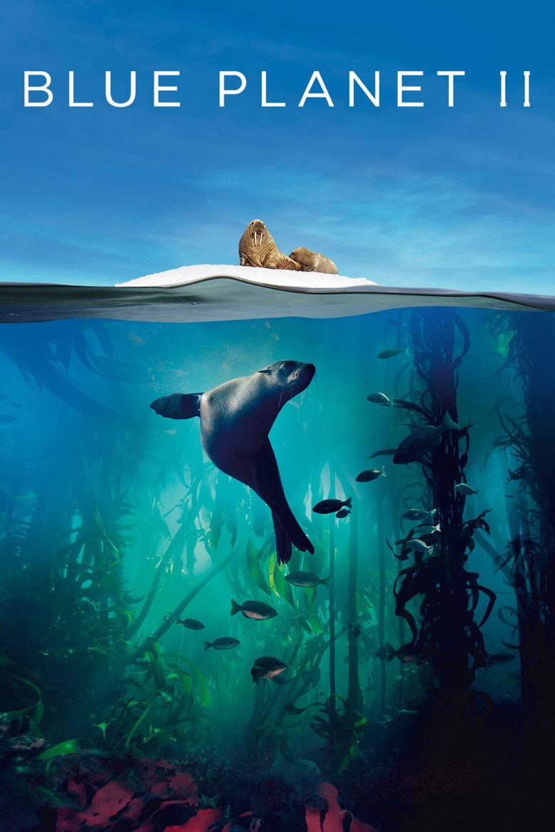 Blue Planet II (2017) — affiche série et bande-annonce