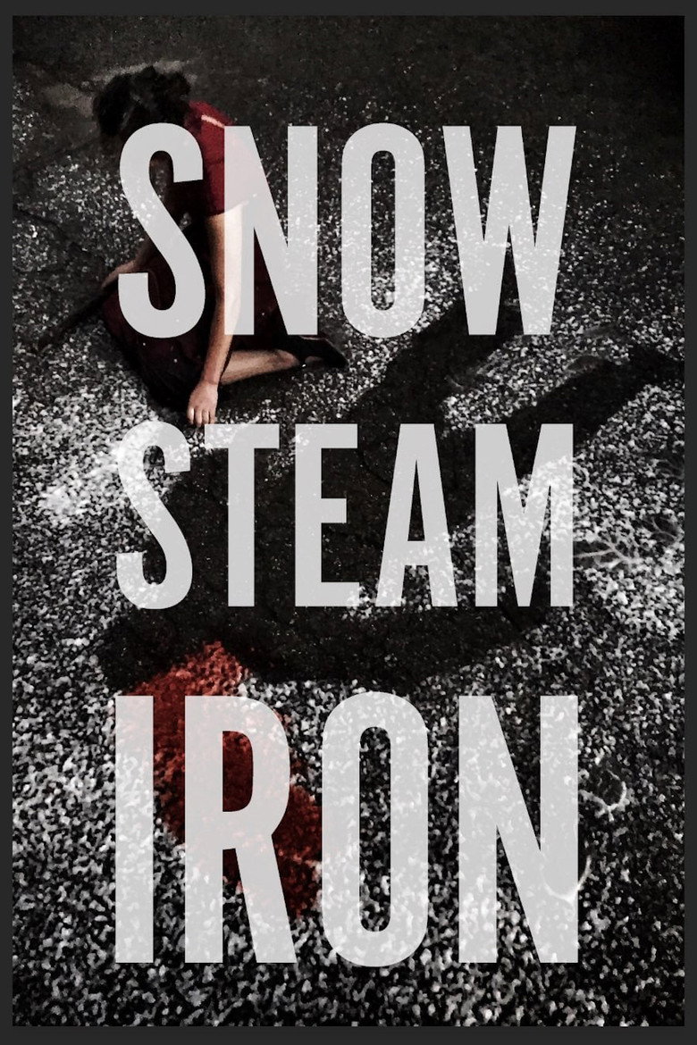 Snow Steam Iron (2017) — affiche film et bande-annonce