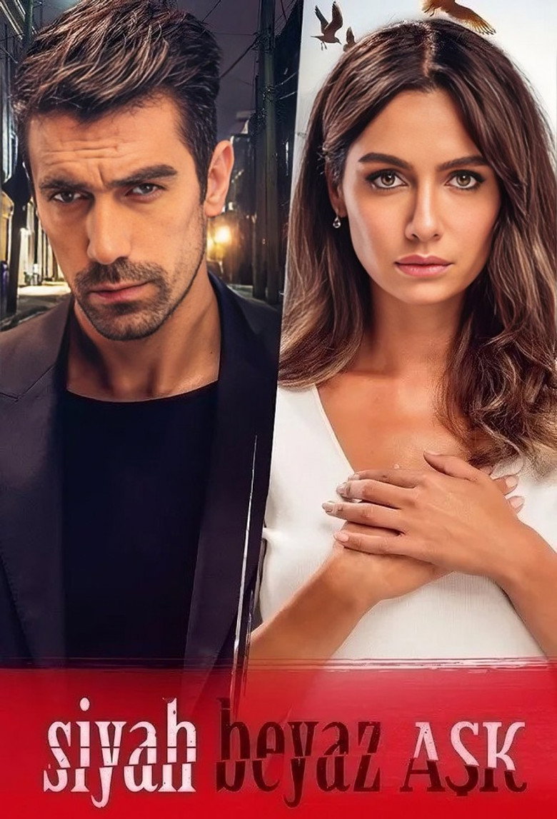 Price of Passion (2017) — affiche série