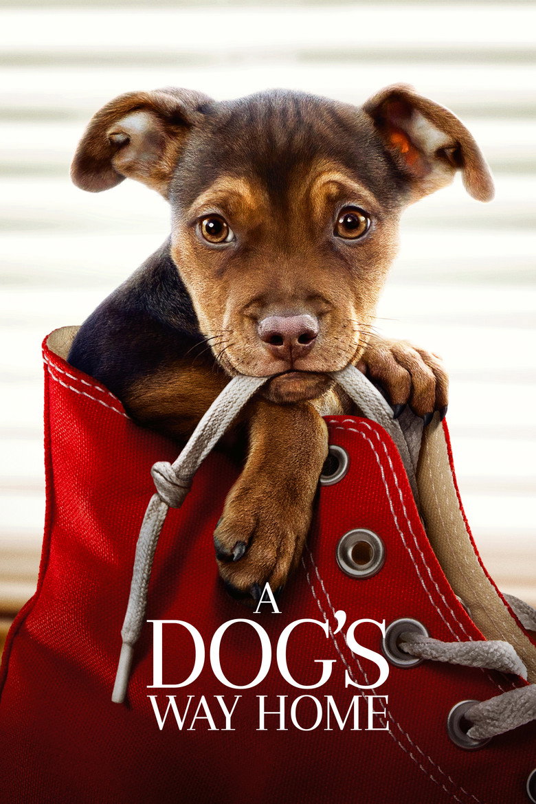 A Dog's Way Home (2019) — affiche film et bande-annonce