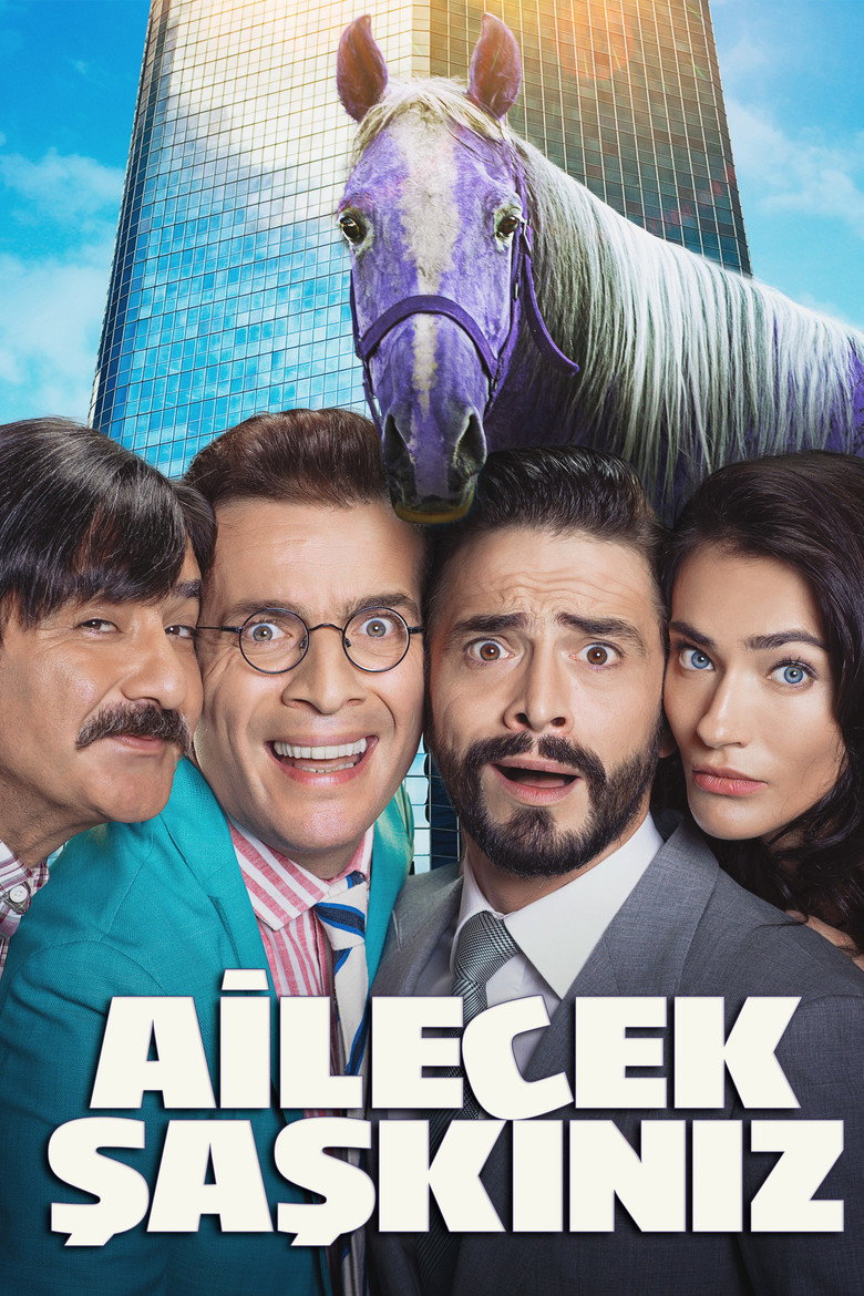 Ailecek Saskiniz (2018) — affiche film