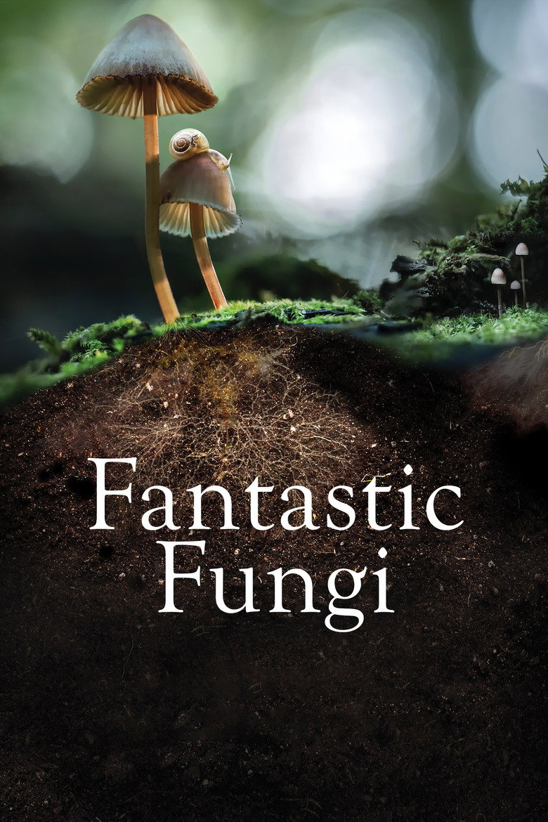 Fantastic Fungi (2019) — affiche film et bande-annonce