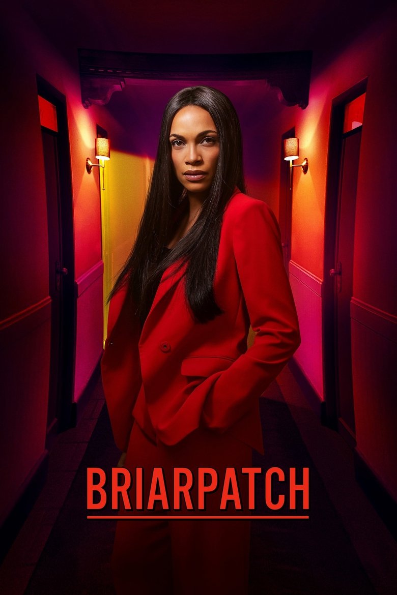 Briarpatch (2019) — affiche série et bande-annonce