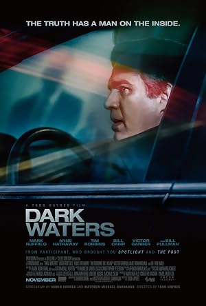 Dark Waters (2019) — affiche film