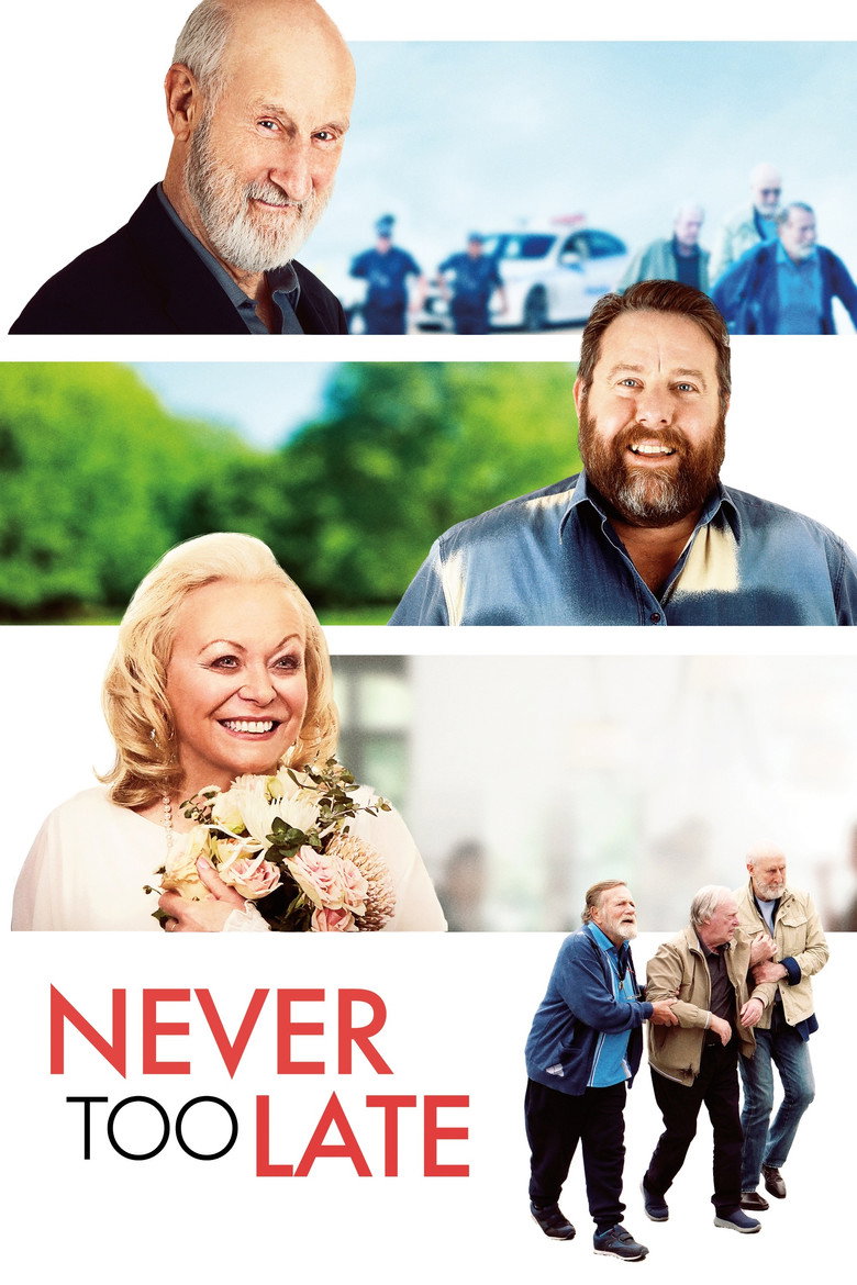 Never Too Late (2020) — affiche film et bande-annonce