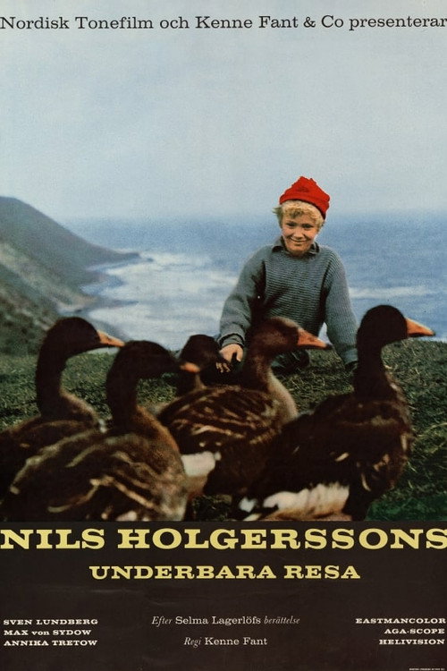 Adventures of Nils Holgersson