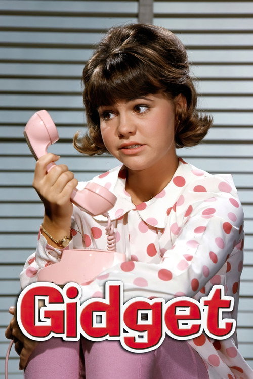 Pôster de Gidget