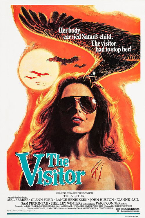 The Visitor