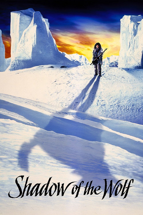 Poster In umbra lupului