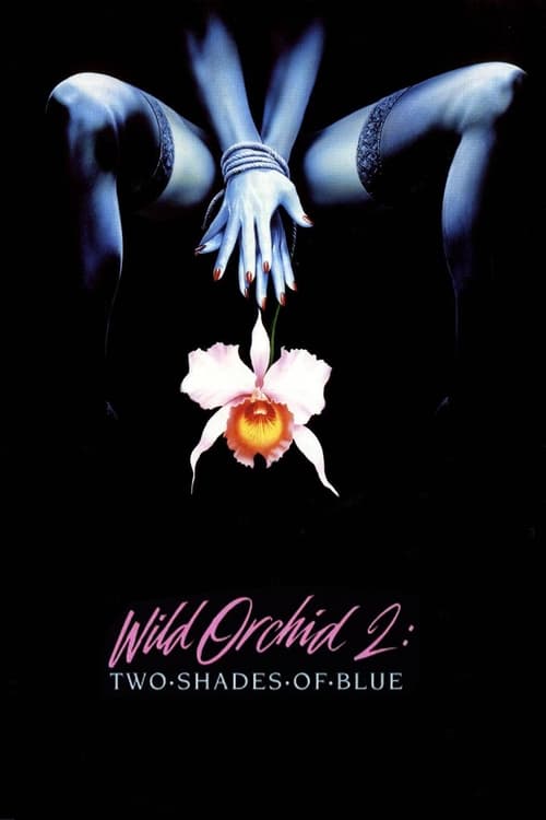 Orchidea selvaggia 2
