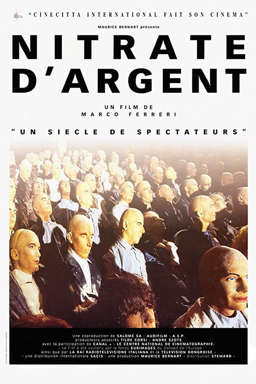 Nitrato d'argento