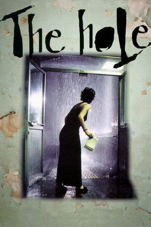 The hole - Il buco