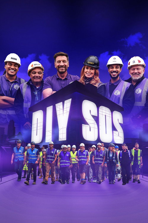 Poster DIY SOS