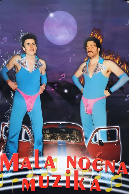 Mala nocna muzika