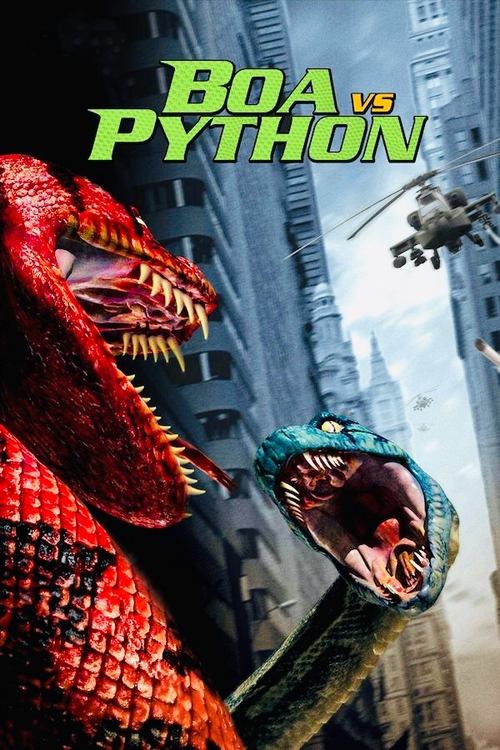 Boa Vs. Python