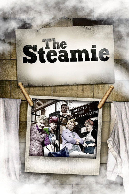 The Steamie