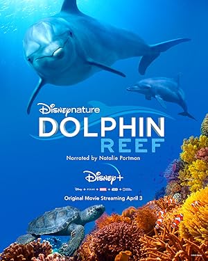 Dolphin Reef