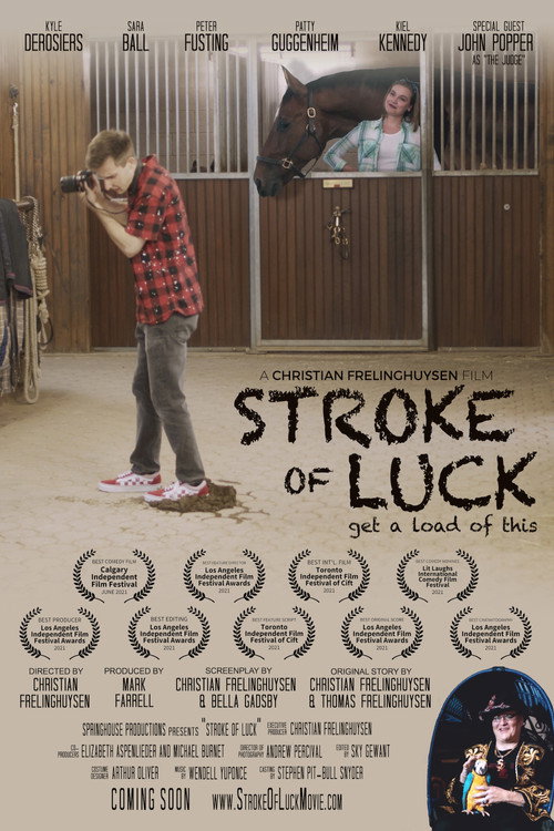 Poster Stroke of Luck