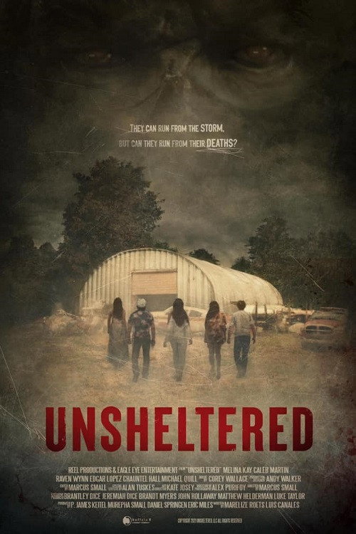 Poster Unsheltered