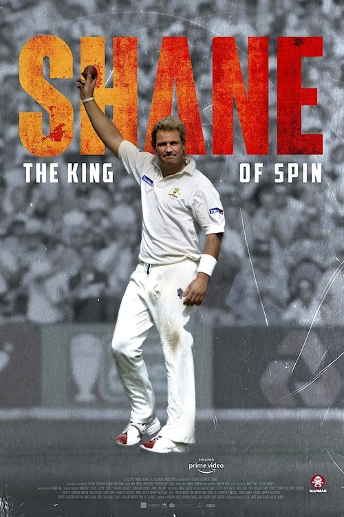 Poster Shane