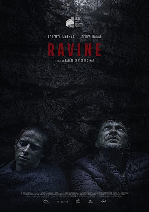 Poster Ravine
