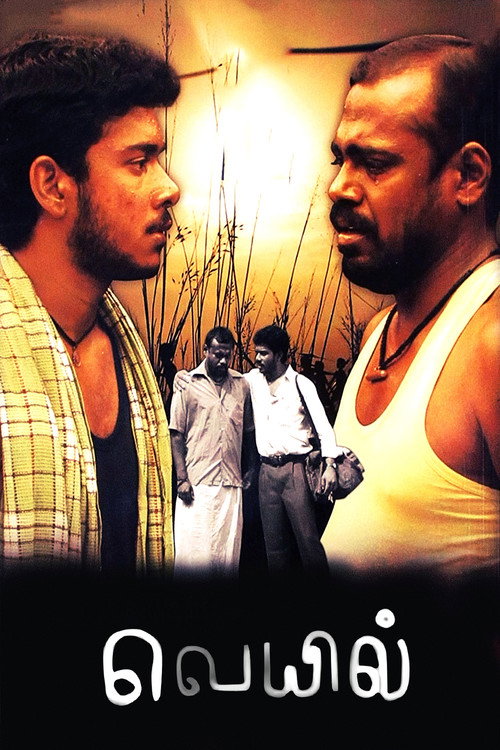 Veyil