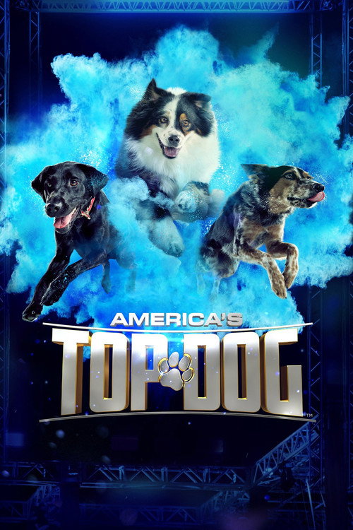 Poster America's Top Dog