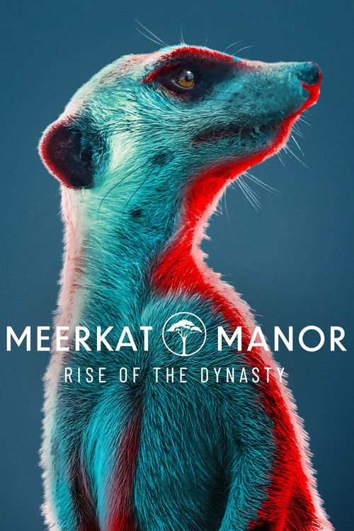 Poster Meerkat Manor: Rise of the Dynasty