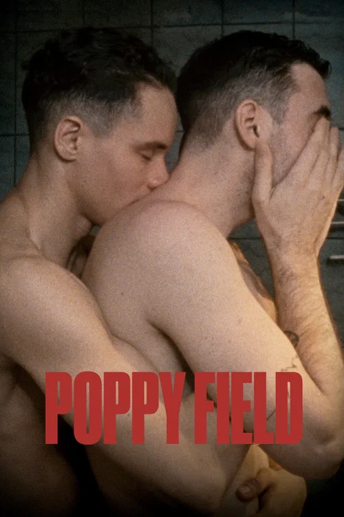 Poster Poppy Field