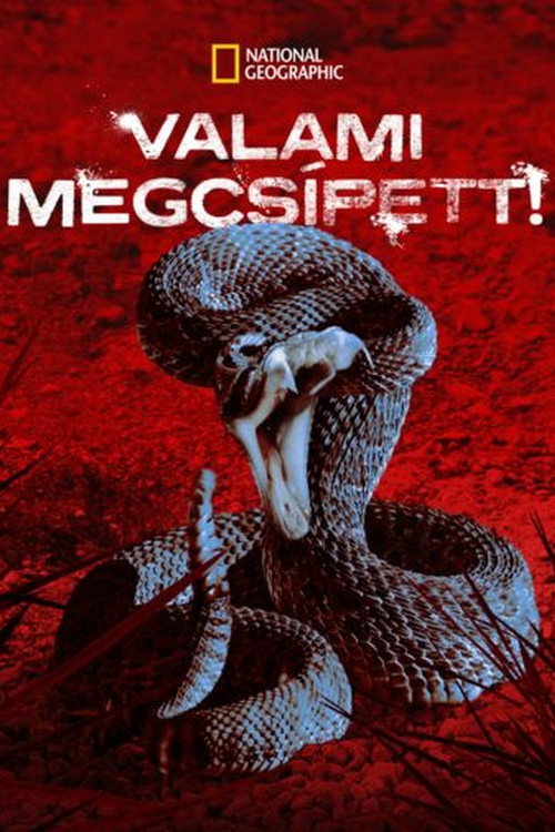Poster I Was Bitten