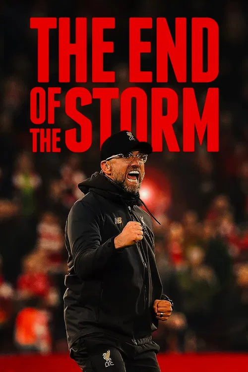 Poster The End of the Storm