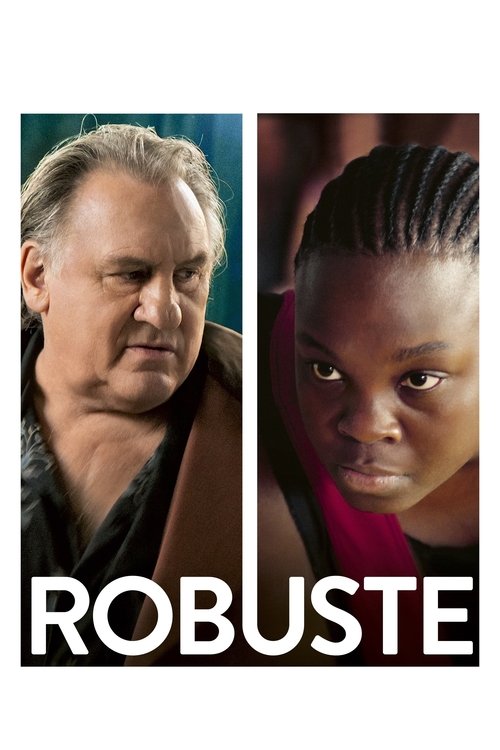 Poster Robust