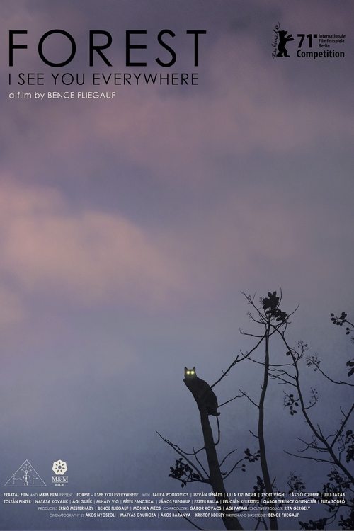 Poster Forest: I See You Everywhere