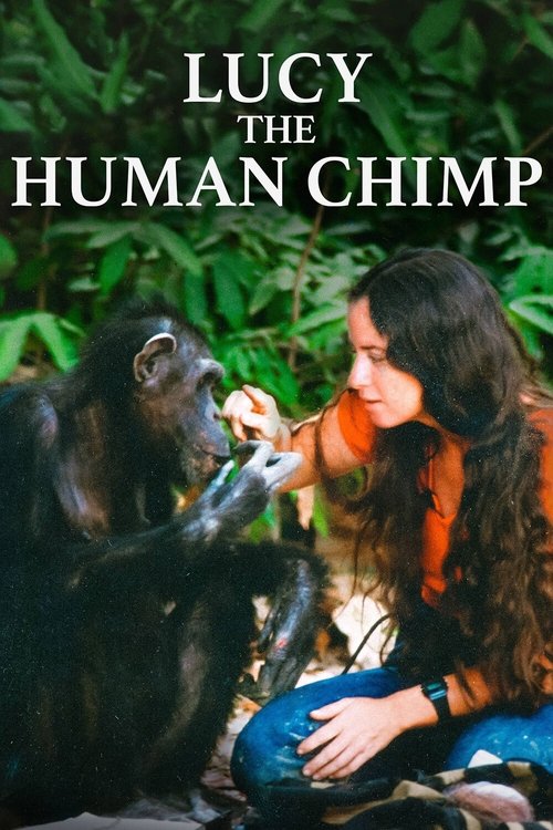 Poster Lucy, the Human Chimp