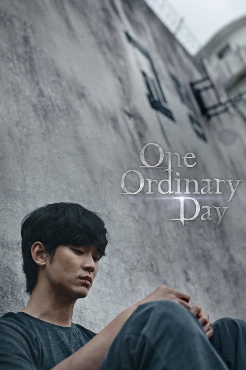 Pôster de One Ordinary Day